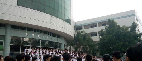 韶关学院爆料视频最新消息,揭秘校园内幕，真相令人震惊！